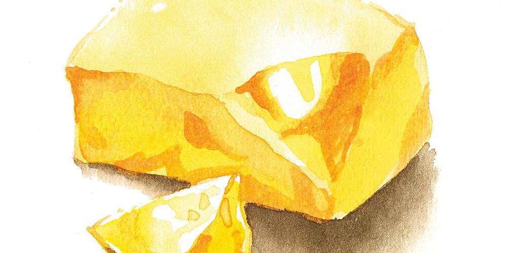Histoire de l'analyse des graisses alimentaires Shimadzu