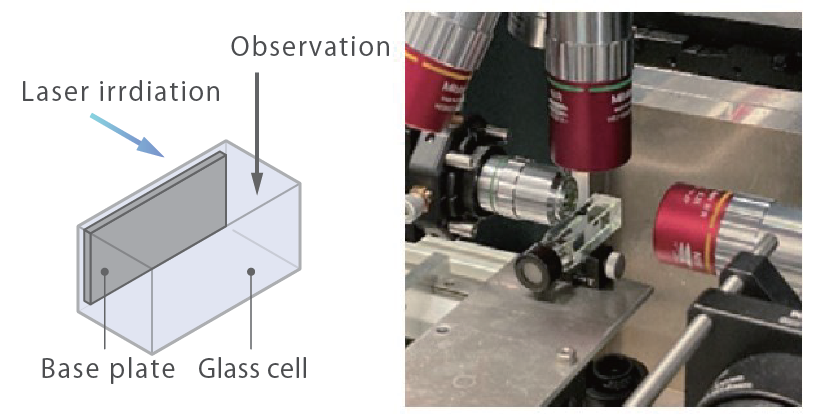 Observation de l'oscillation haute fréquence des microbulles