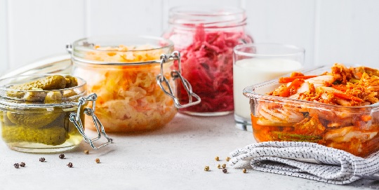 Aliments et boissons fermentés