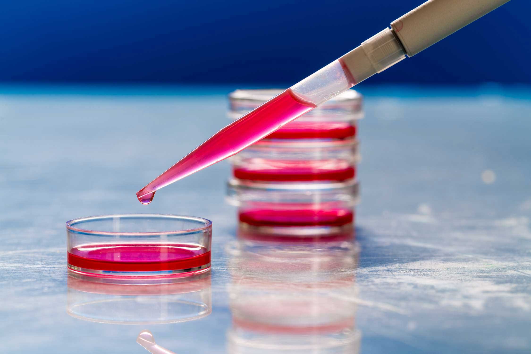 Culture cellulaire et analyse des milieux de culture cellulaire