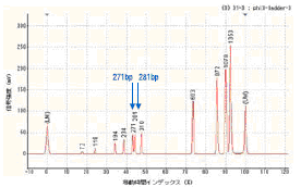 frustrated with agarose gel
